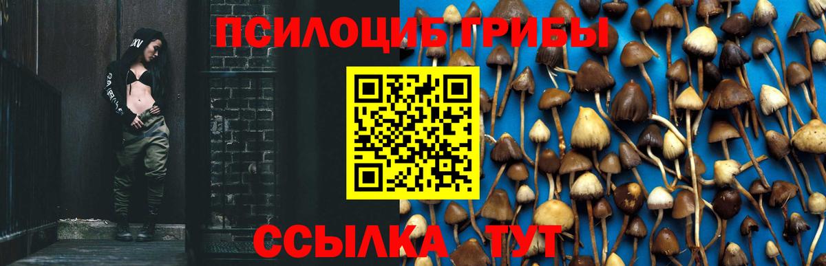 Елабуга  Псилоцибиновые грибы мухоморы  Вход с VPN  Псилоцибиновые грибы прущие грибы 